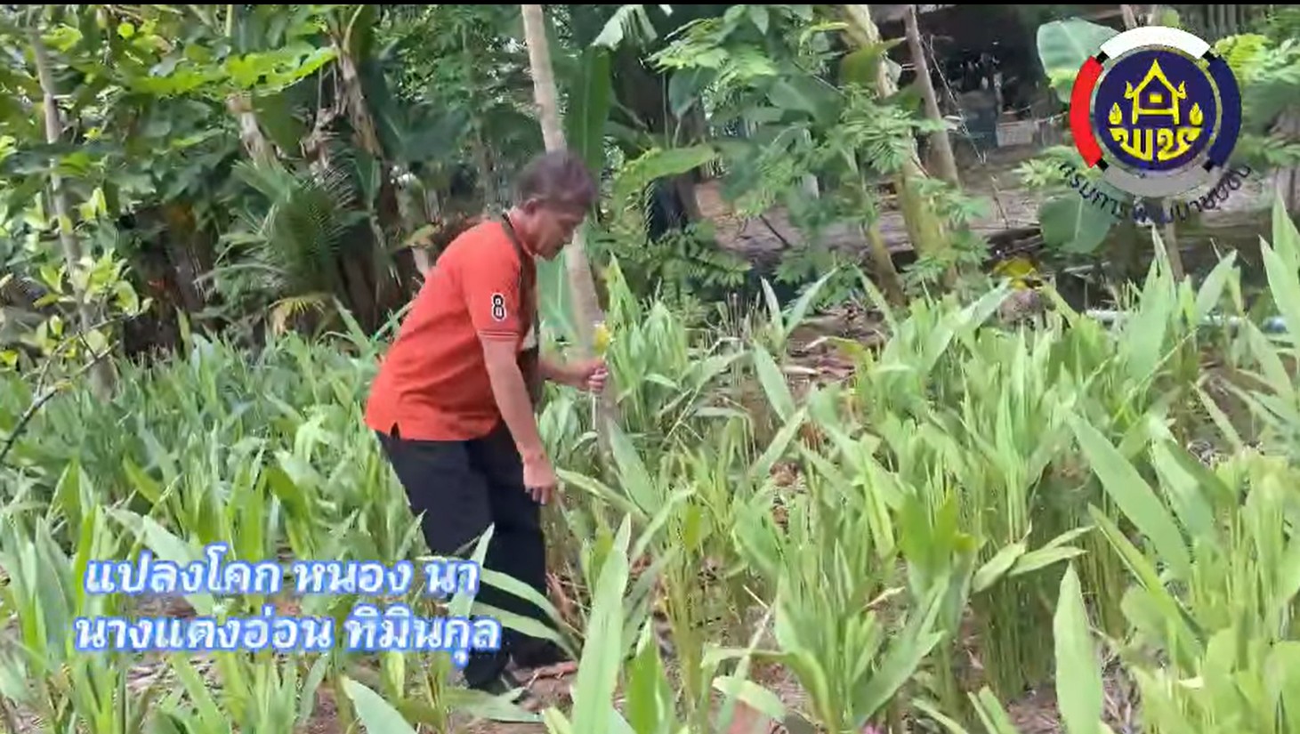 ลงพื้นที่ติดตามการขับเคลื่อนการดำเนินงานศูนย์เรียนรู้ "โคก หนอง นา" แปลงนางแตงอ่อน ทิมินกุล